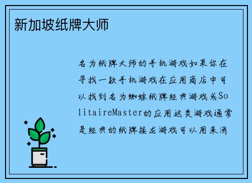 新加坡纸牌大师